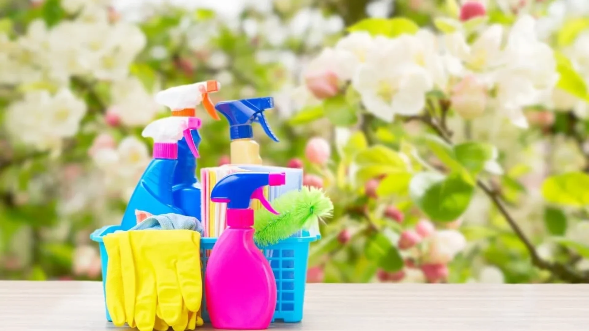 Spring Cleaning Services (3)